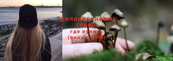 прущая мука Алзамай