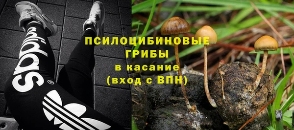 прущая мука Алзамай