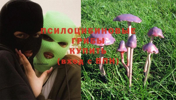 прущая мука Алзамай