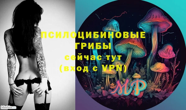 jwh Арсеньев