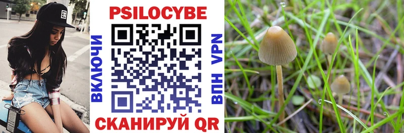 Галлюциногенные грибы Magic Shrooms  Верхняя Салда 