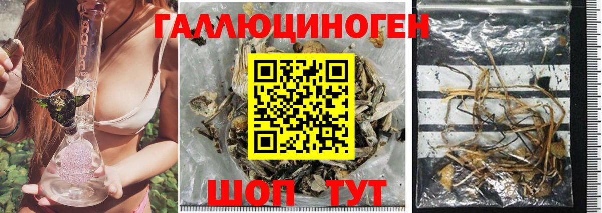 Галлюциногенные грибы мухоморы Верхняя Салда