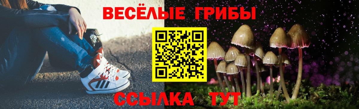 Верхняя Салда  Галлюциногенные грибы Cubensis  сколько стоит  Вход с VPN 